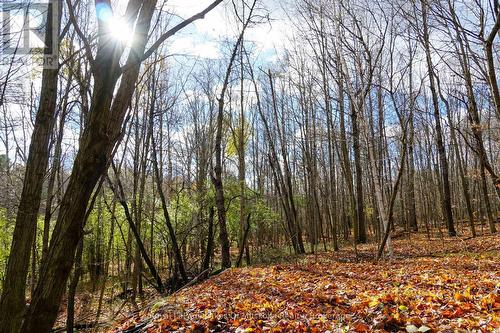 8 Rice Lane, Huntsville (Chaffey), ON 