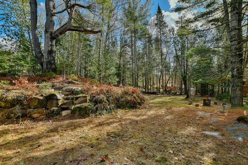 Backyard - 2466 Rue St-Adolphe, Val-David, QC - Outdoor