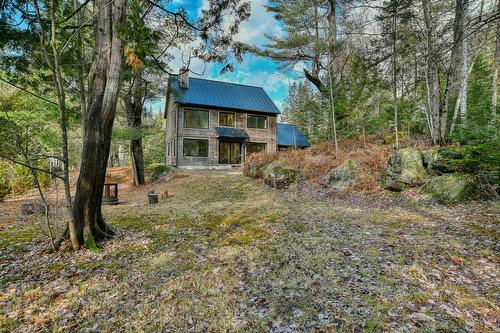 Back facade - 2466 Rue St-Adolphe, Val-David, QC - Outdoor