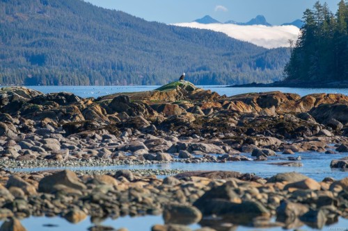 1049 Sixth Ave, Ucluelet, BC 