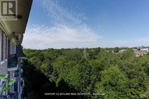 516 - 245 Dalesford Road, Toronto, ON - Outdoor With View