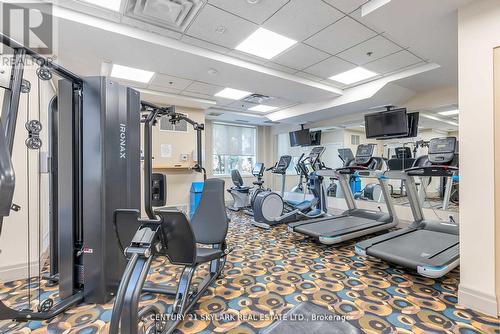 516 - 245 Dalesford Road, Toronto, ON - Indoor Photo Showing Gym Room