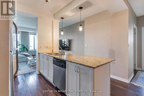 516 - 245 Dalesford Road, Toronto, ON - Indoor Photo Showing Kitchen With Double Sink