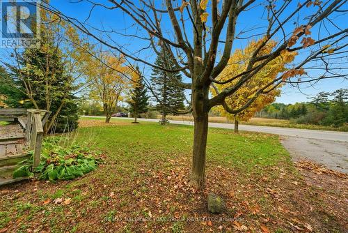 32 Station Road, Georgina, ON - Outdoor With View