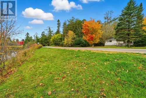 32 Station Road, Georgina, ON - Outdoor