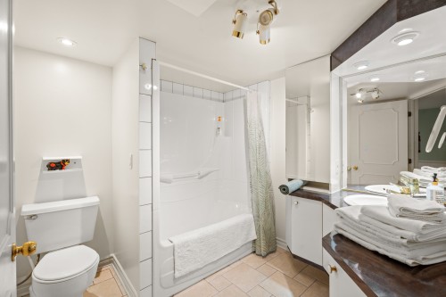 Salle de bains - 531 Rue Principale, Saint-Sauveur, QC - Indoor Photo Showing Bathroom