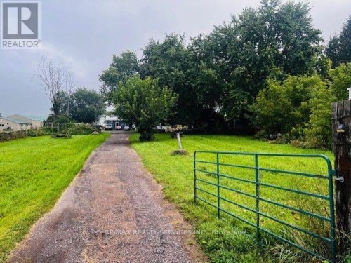 6429 3Rd Line, New Tecumseth, ON 