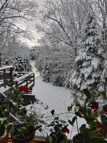 Vue d'ensemble - 236 Mtée Du Val-De-Loire, Saint-Adolphe-D'Howard, QC - Outdoor