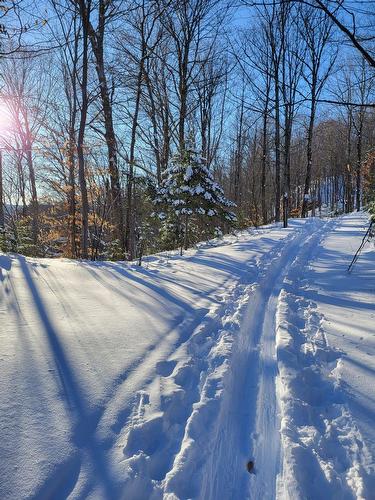 Other - 236 Mtée Du Val-De-Loire, Saint-Adolphe-D'Howard, QC - Outdoor With View