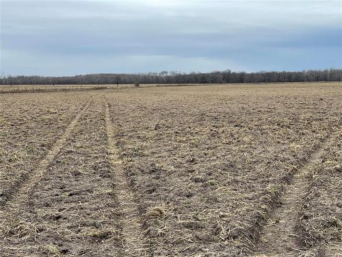 0 40W/47N Road, St Claude, MB 