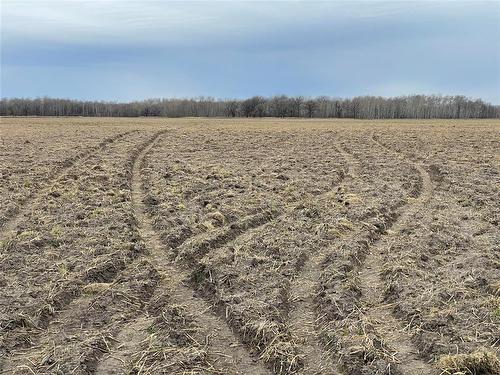 0 40W/47N Road, St Claude, MB 