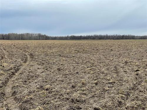 0 40W/47N Road, St Claude, MB 