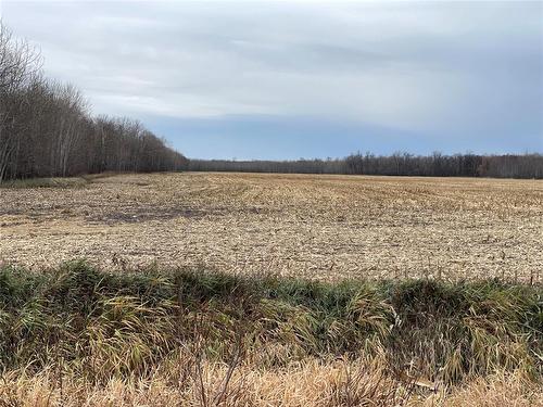 0 41W/49N Road, St Claude, MB 
