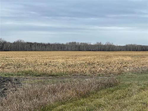0 41W/48N Road, St Claude, MB 