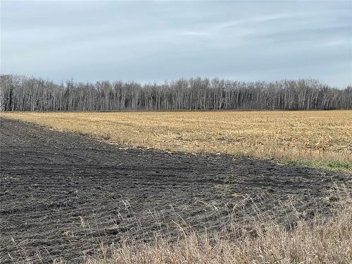 0 41W/48N Road, St Claude, MB 