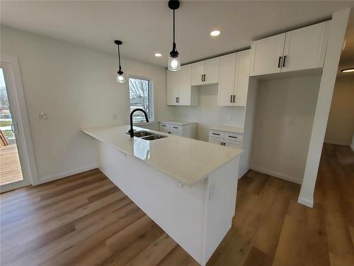 466 St Alphonse Avenue, Ste Anne, MB - Indoor Photo Showing Kitchen With Double Sink