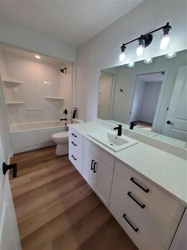 466 St Alphonse Avenue, Ste Anne, MB - Indoor Photo Showing Bathroom