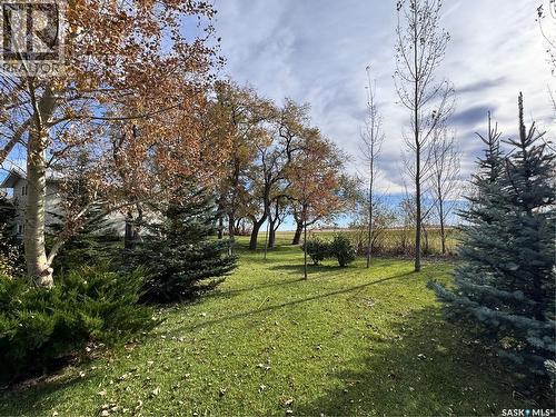 Kuntz Acreage, Macoun, SK - Outdoor With View