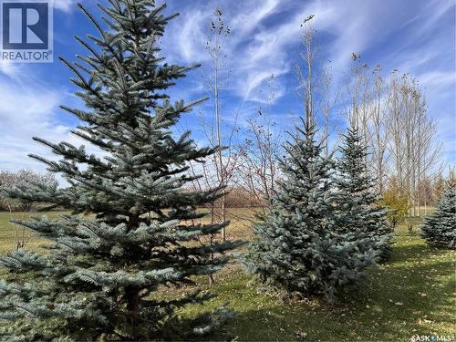 Kuntz Acreage, Macoun, SK - Outdoor With View