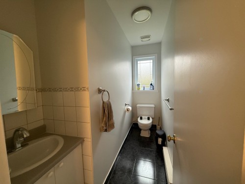 Bathroom - 3795 Rue Julie, Laval (Fabreville), QC - Indoor Photo Showing Bathroom