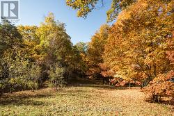 14190 YONGE STREET  Aurora, ON L4G 0P5