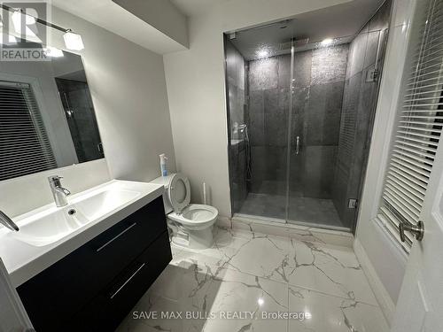 Basement - 1383 Langley Circle, Oshawa, ON - Indoor Photo Showing Bathroom