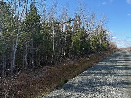 B Mackay Road, Welsford, NS 