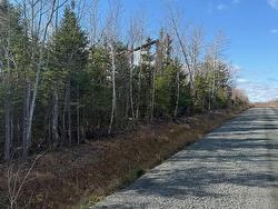 B MacKay Road  Welsford, NS B0K 1N0