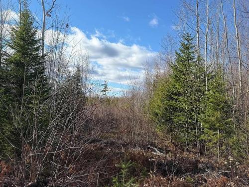 B Mackay Road, Welsford, NS 