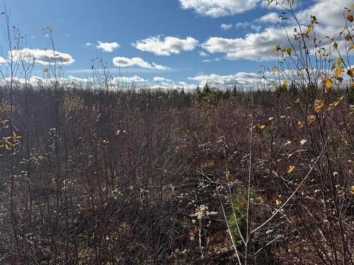 B Mackay Road, Welsford, NS 