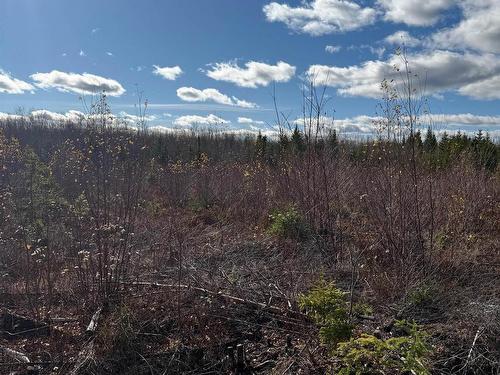 B Mackay Road, Welsford, NS 