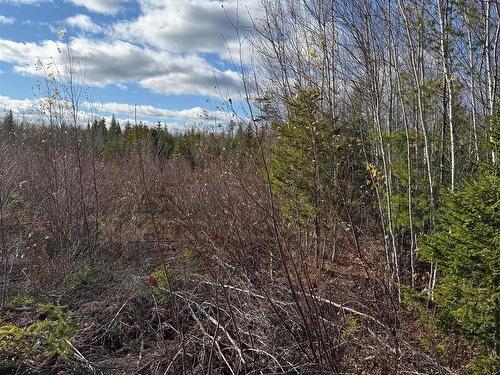 B Mackay Road, Welsford, NS 