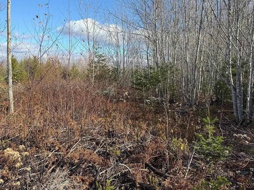 B Mackay Road, Welsford, NS 