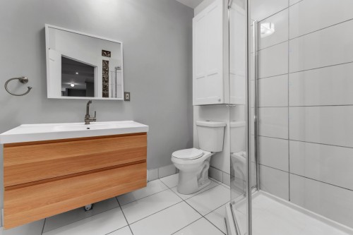 Salle de bains - 415 Rue Boucher, Montréal (Le Plateau-Mont-Royal), QC - Indoor Photo Showing Bathroom