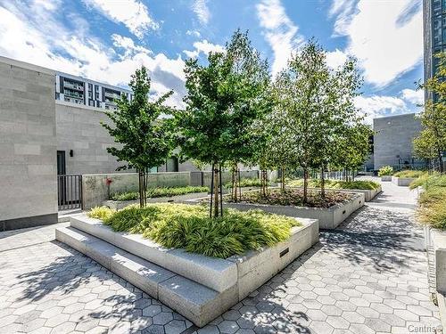 Jardin - Th10-1288 Rue St-Antoine O., Montréal (Ville-Marie), QC - Outdoor