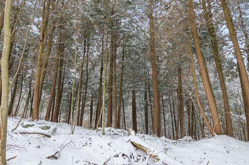 Land/Lot - Ch. De Magoon Point, Stanstead - Canton, QC 