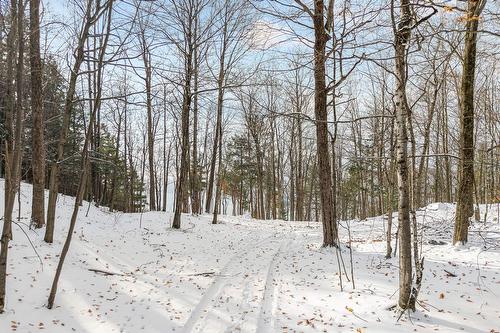 Land/Lot - Ch. De Magoon Point, Stanstead - Canton, QC 