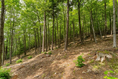 Lot - Ch. De Magoon Point, Stanstead - Canton, QC 