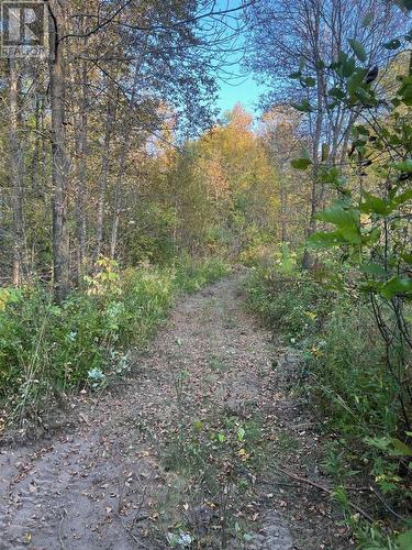 . River Rd, Walford, ON 