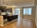 168 Bandelier Way E, Ottawa, ON  - Indoor Photo Showing Kitchen With Upgraded Kitchen 