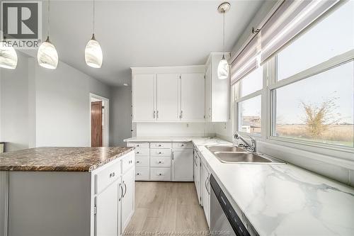615 Road 11, Kingsville, ON - Indoor Photo Showing Kitchen With Double Sink