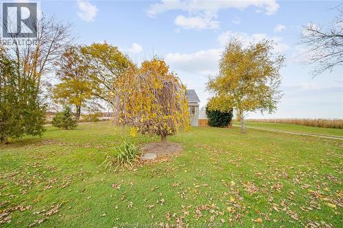 615 Road 11, Kingsville, ON - Outdoor With View