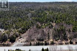 0 Main Highway  Brigus South, NL A0A 1P0