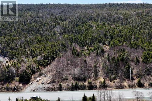 0 Main Highway, Brigus South, NL 