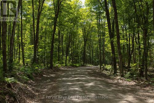 Approx 1km Driveway w/ Underground Hydro & Bell - 3191 Hwy 518 Highway E, Kearney, ON - Outdoor With View