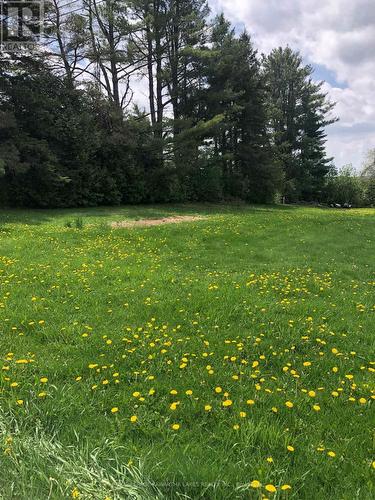 8 Fulsom Crescent, Kawartha Lakes (Carden), ON 