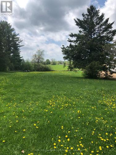 8 Fulsom Crescent, Kawartha Lakes (Carden), ON 