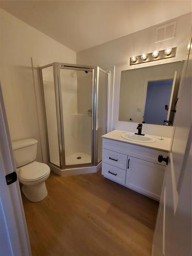 415 Sandpiper Trail, Landmark, MB - Indoor Photo Showing Bathroom