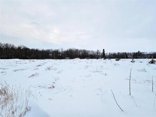 26 Jayden Sierra Dr, Lac Du Bonnet, MB 