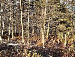 Lot 1 Shore Road  Western Head, NS B0T 1K0